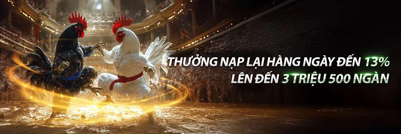 Đá Gà Thomo 25/10 - Sân đấu kịch tính